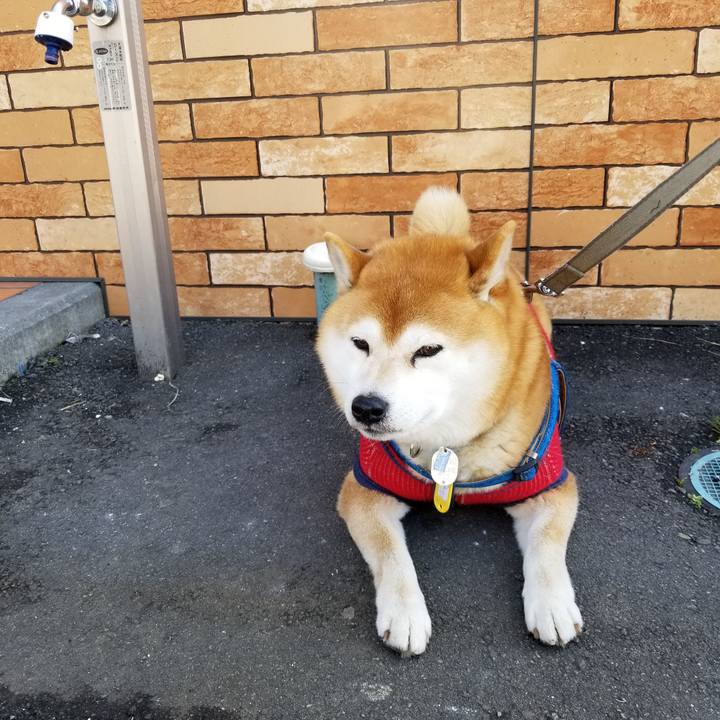 741230bc e529 4afd 9c4d 018a2a710d7c 1552878686009