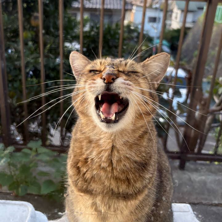 741276a6 f7e3 4f57 bd01 820d238ae5c2 1761653586535