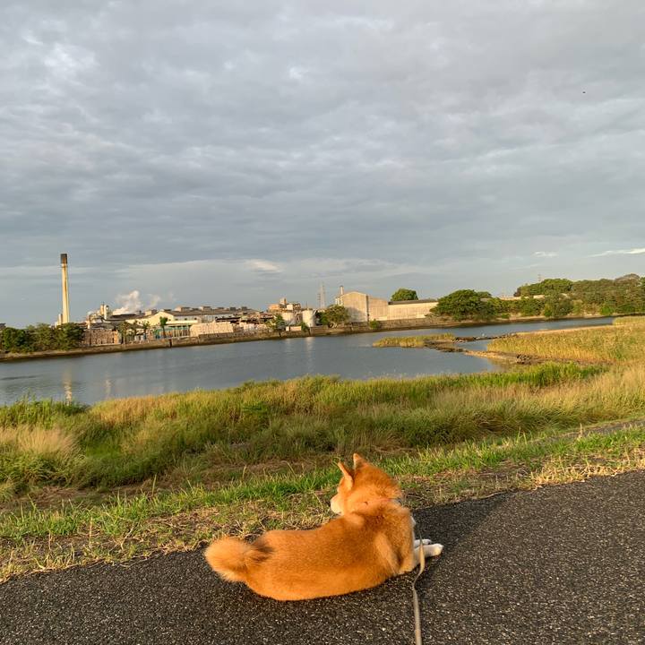 74127a5a 7bcd 4cd8 88ed 79728b45f520 1569624785187