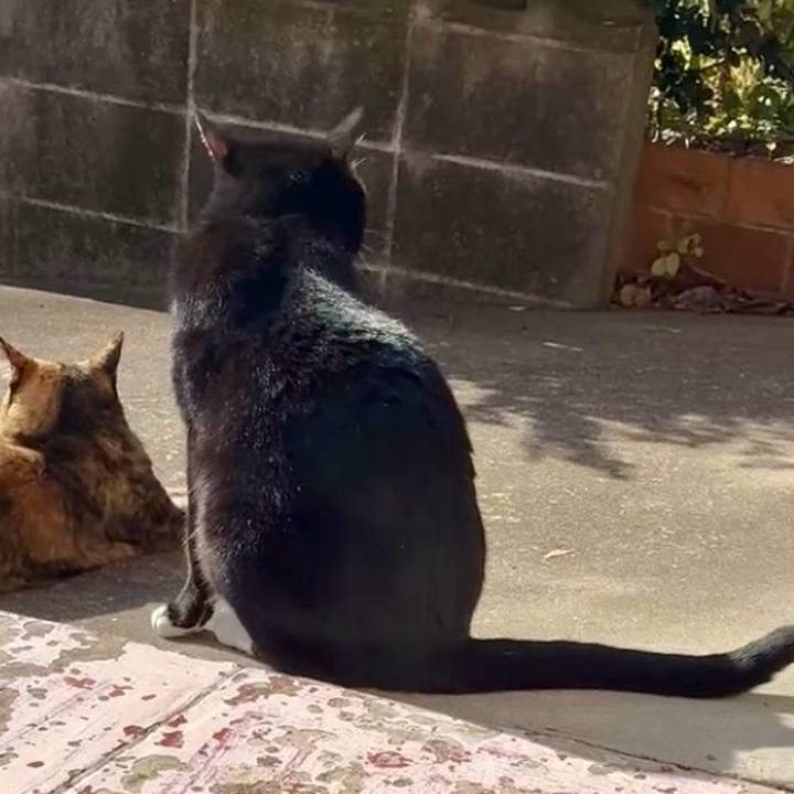 74128120 0a80 4bfc bc5e 76c0e1b67ec7 1763864888812