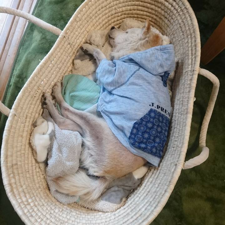 74128b94 1f11 4095 b0a4 2e1e70de614d 1529021490707