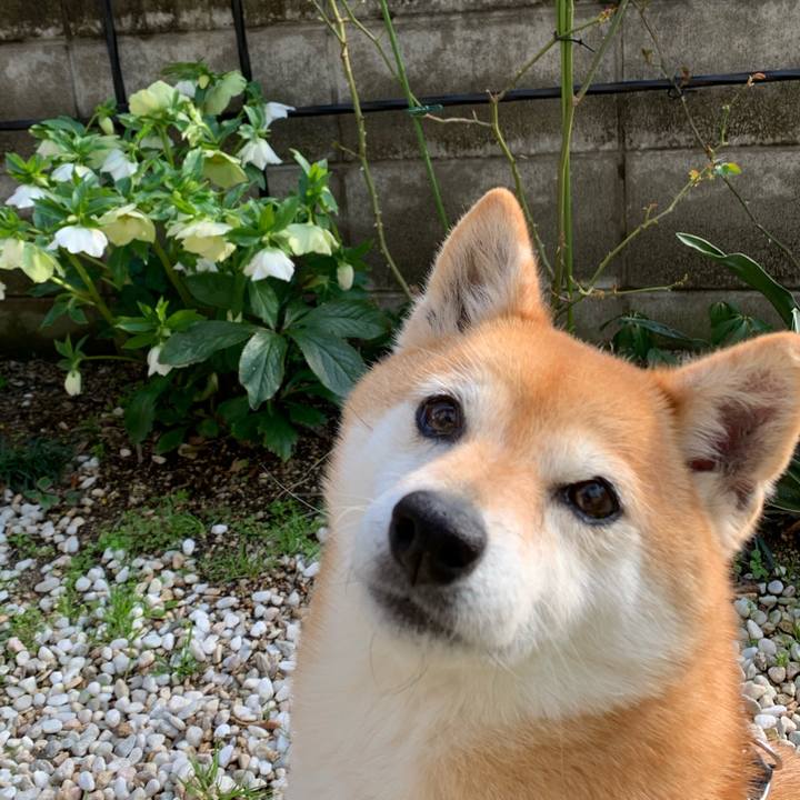 7412a32d d03d 470a 8860 726550773f26 1583393220226