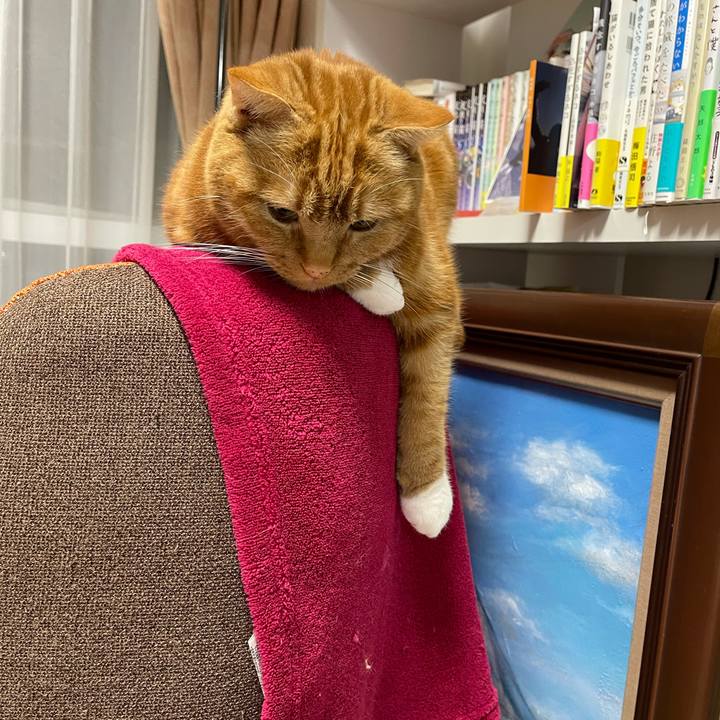 7412f5ee 16a7 4e92 92c4 be1fc14376e6 1616509423272