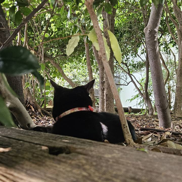 74131572 3dc8 4cfb 9077 4888f098e68c 1717303539549