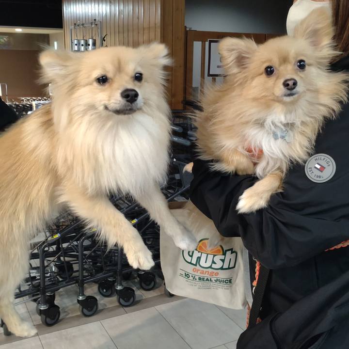 741392ab 06df 45c5 ac28 f8fb04c20463 1741523890417