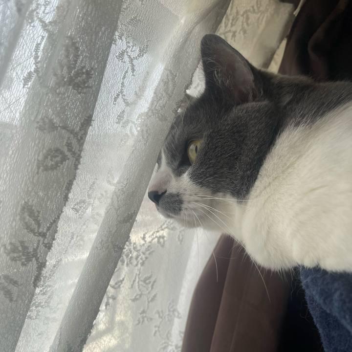 7413941e 560c 4a32 ab6a e7901be6c6ec 1684719909522