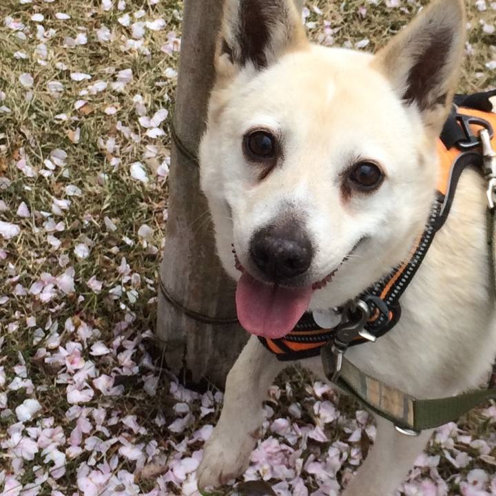 74139494 b09d 4992 b217 4ba81c3ccaac 1554781236071