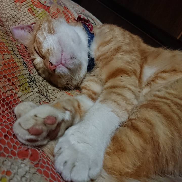 74139ab1 0454 4d0c 9a49 2b3e7852ba75 1560863022363