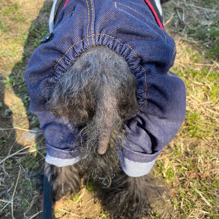 7413a57a 43d0 4078 818f c118766e05b1 1609041721666