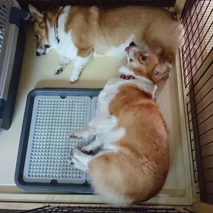 7413b44c 25d0 47bd 9226 1188b98e9938 1527916518349