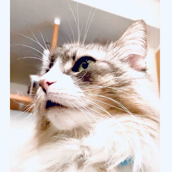 7413d0ea 0a90 4362 95d3 7421d503eef9 1764603073157