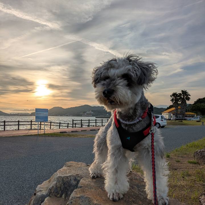 7413ea52 b3f7 43fb a1ff ce5a208d71fc 1751798530520