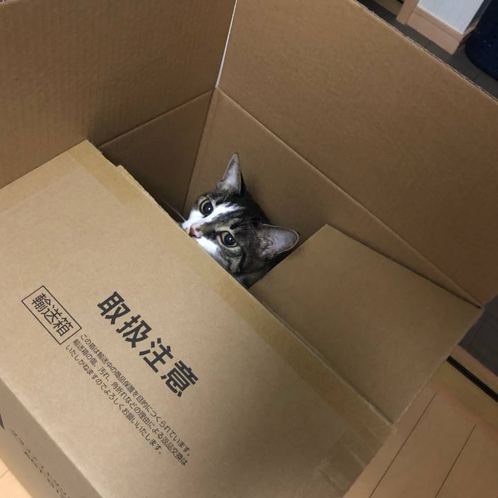 74140508 66b8 446f 9b65 9158ca9229d0 1597502112759