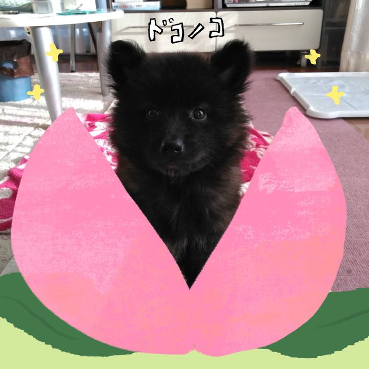 7414116c ca0f 440b b63c a32804ee3e31 1771829653073