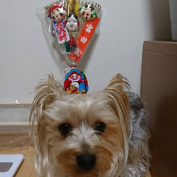 74141644 6048 4d4e a884 cb7668482f53 1547507835023