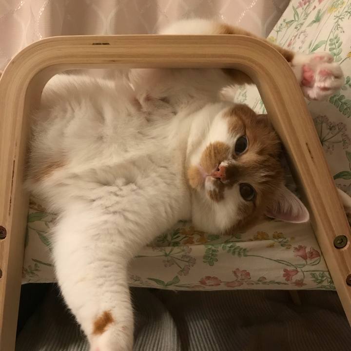 74143bc2 244a 4fbe 9d74 9645c2417d86 1521630346089