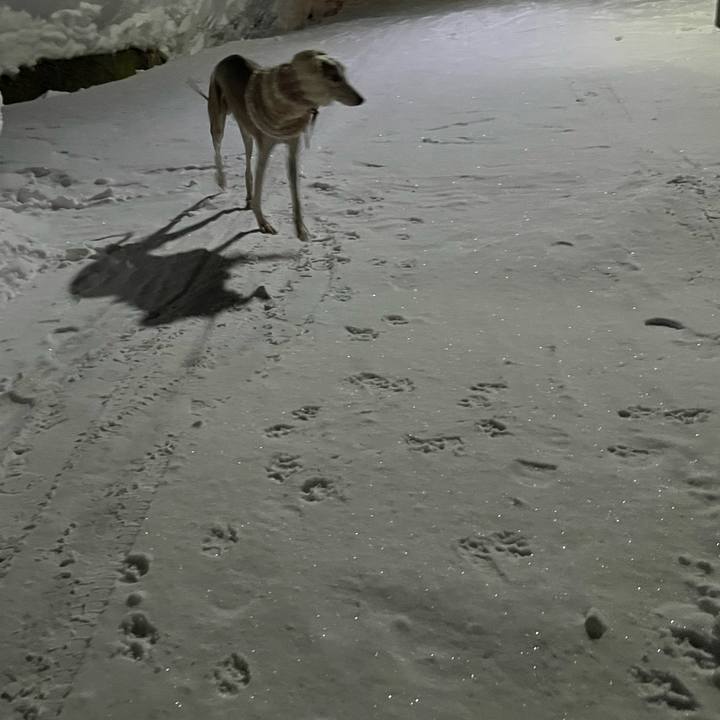 741452d7 0703 4462 8337 9c73e090705a 1770539596935