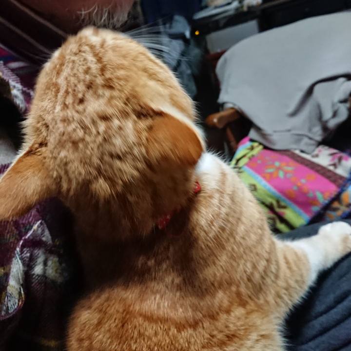 74146e56 8111 4106 8dbb 8adbdf364541 1579463872312