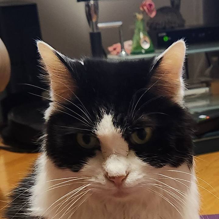 7414751c 6161 43a4 8755 eabc96f2c2a8 1735393189618