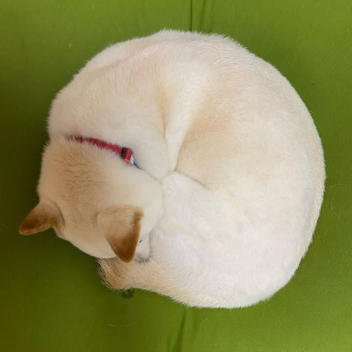 7414a5ce 2992 47de 8e9d 15ab4f516bab 1664948691356