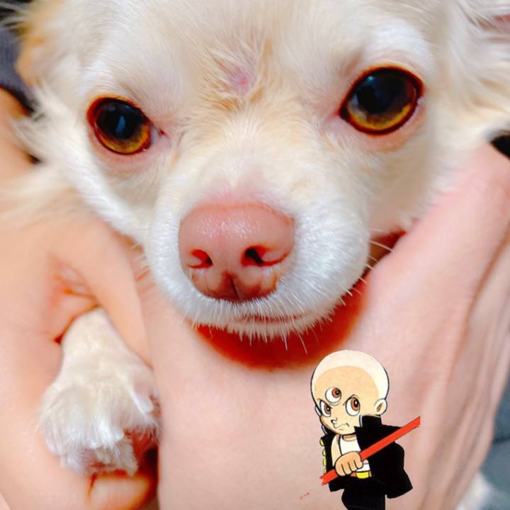 74156567 b8c4 461d 9b06 543a29860c65 1636105748267