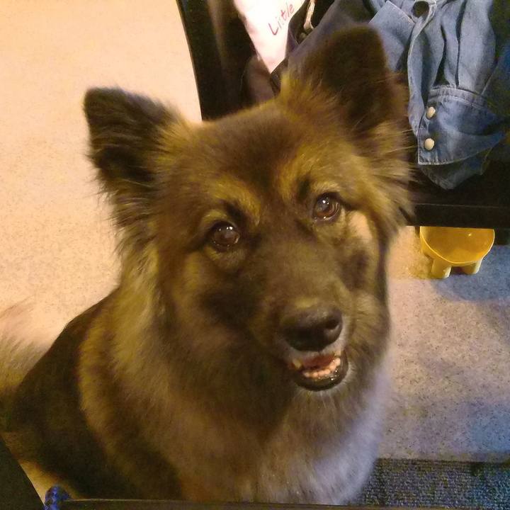 74157982 b840 41e4 96cf 1352e424caaa 1763179364415