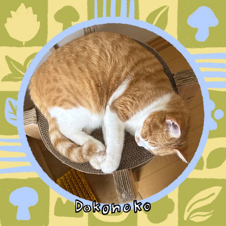 741580db bde7 4394 9ddc 50bb03479d59 1764220150989