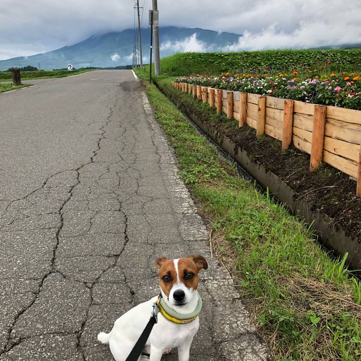 7415ade0 0a50 45fa b33e e14bed57c2fe 1530876141923