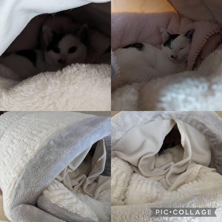 7415dac8 2276 44b8 96b0 19f294c0b5ab 1706073164730