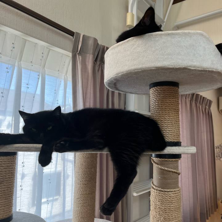 7415f2f9 16bb 4045 8ba7 8575108cd275 1692263619942