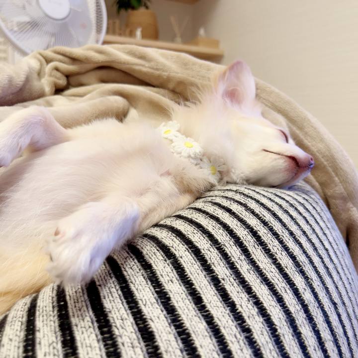 74164975 9907 4362 a53f e577104c7961 1692358318588