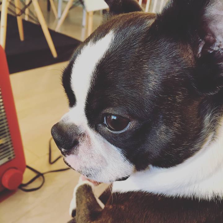 74164ab4 d8f6 40ce b06f 4d9486c66ad3 1513644119912