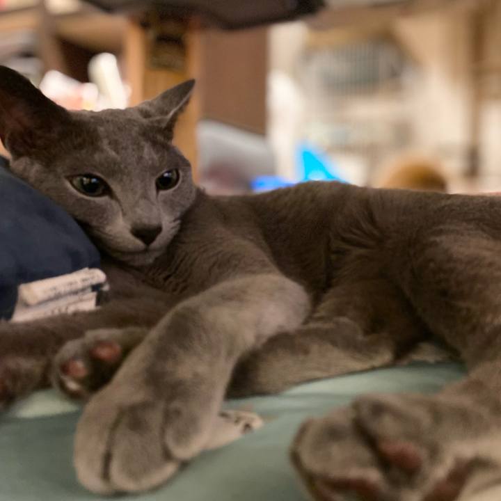 7416574e 9d4a 4e36 ade3 ab3ba34c6443 1662937311661