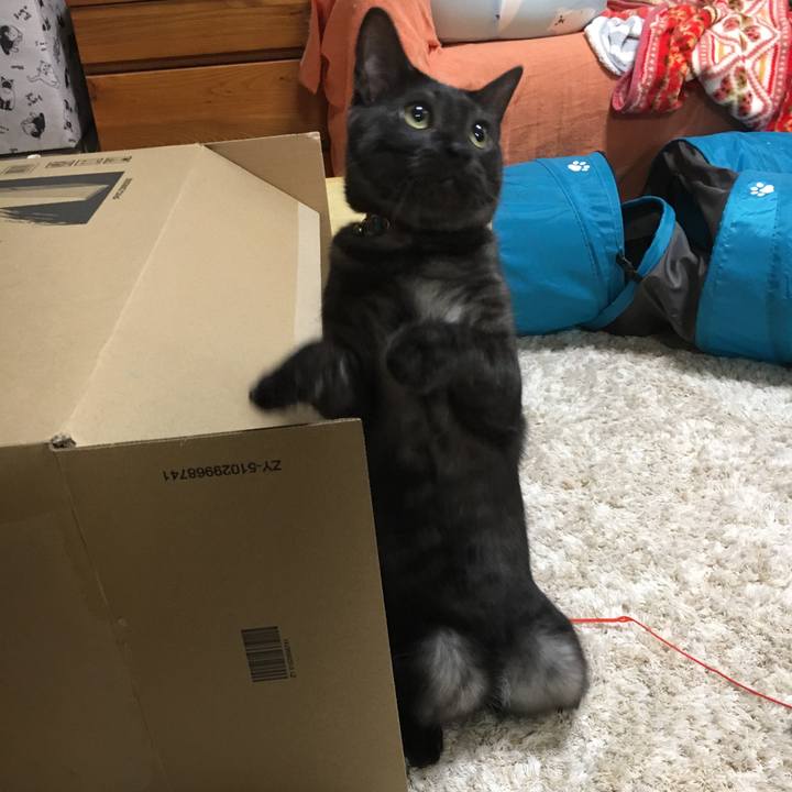 74169242 8cdc 4bd6 a137 b190a9df7124 1549333272962