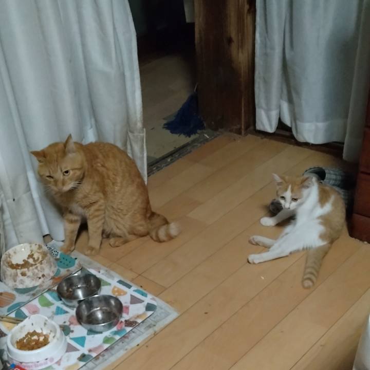 7416a8ef cdd2 4feb 9cc4 fd3c8e540386 1725576238207