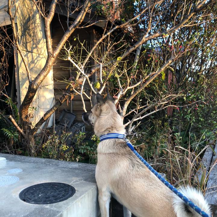 7416dad8 f964 4180 9899 ab6866f3436c 1576449780834