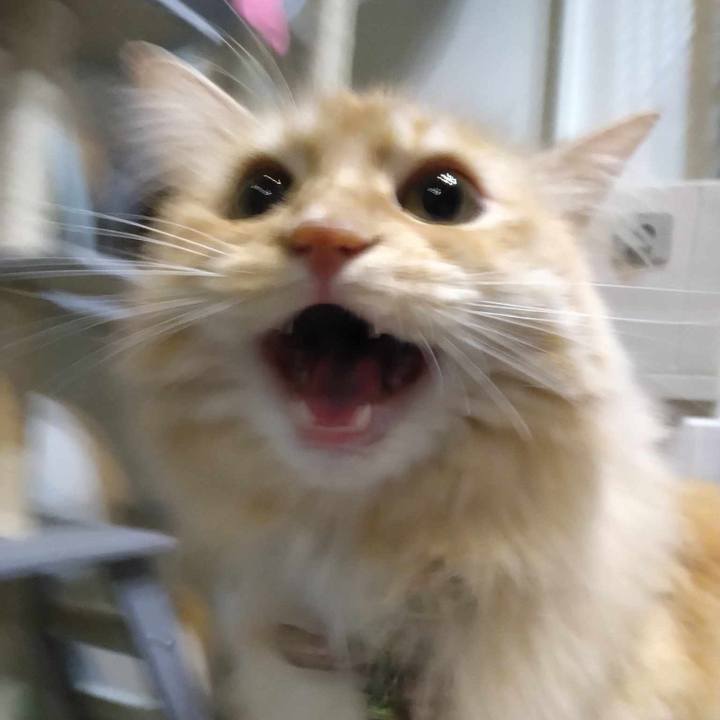 7416f31f 7106 4aea 841c 09a66ea93671 1688469988451