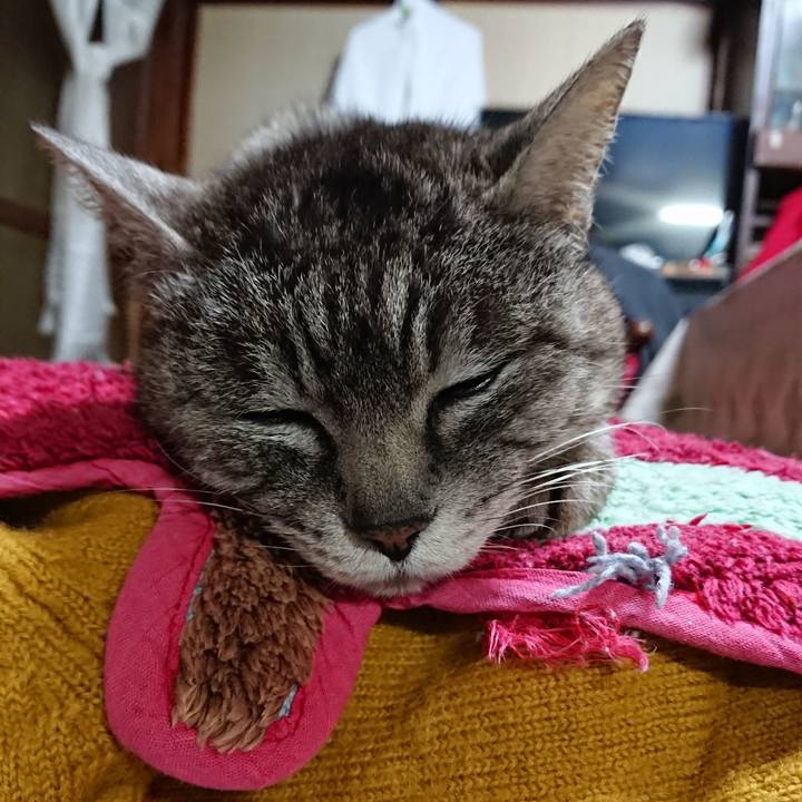 7417376f f073 4b67 a9b5 73c379f794ad 1553678467968