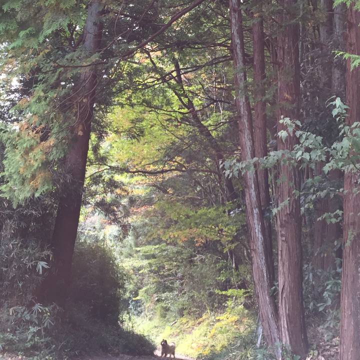 741739d0 2c82 4366 8815 3f166e2c3cbf 1549338493808