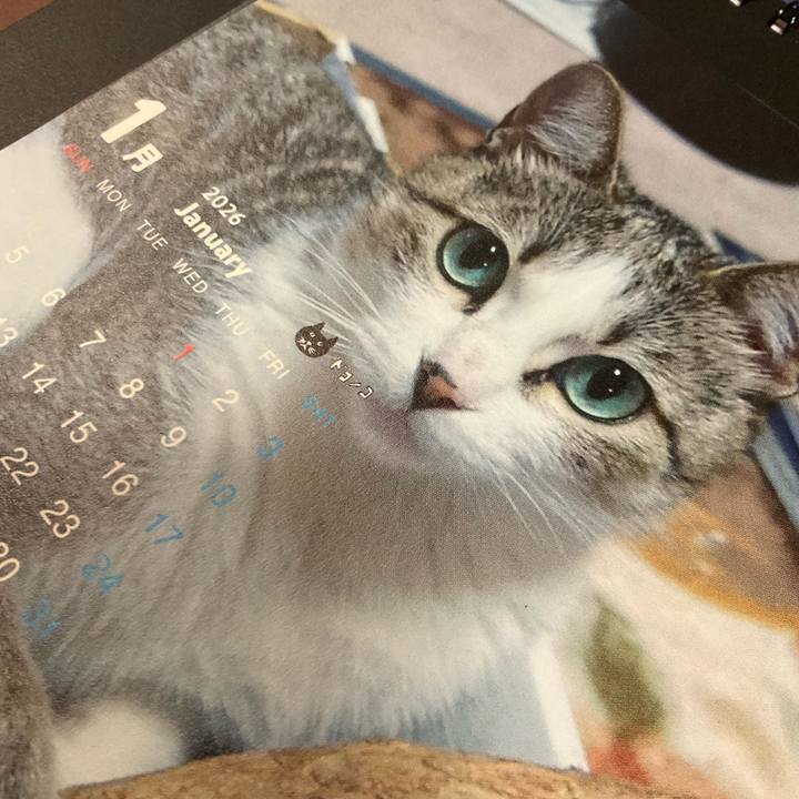 741757b0 ab0f 4629 a043 04bfc09f3bd9 1767194207718