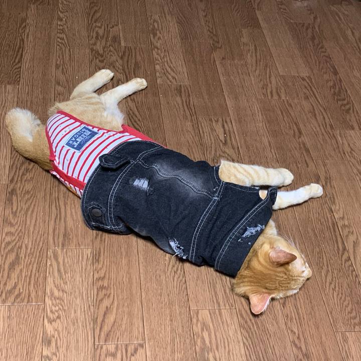 74175880 b72d 4895 877b d1d1beae9ea4 1625065309239