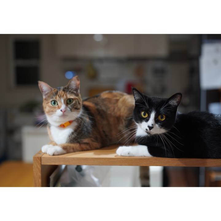 7417730c 246a 4b04 87dd 3e3b41aad3ba 1629036196058