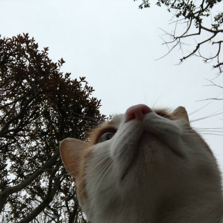 74179ee1 5b6b 403f 8247 1a9ea3f3efca 1516594935822