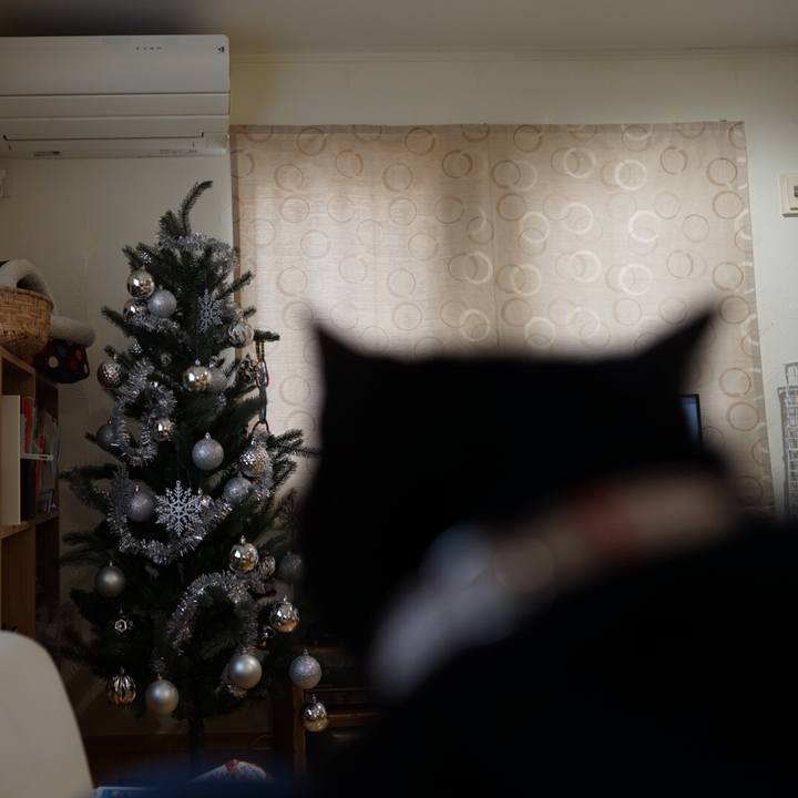 7417a86a 4435 4bb3 987d ace5f0cde702 1545694261897