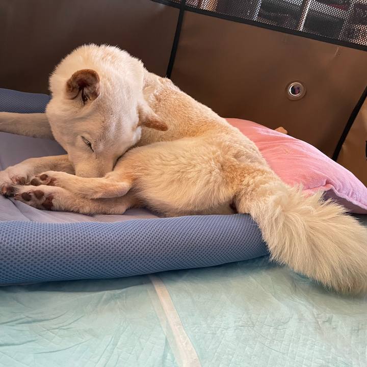 7417d53d b737 4265 a76d 6c6b8267ae47 1652593153888