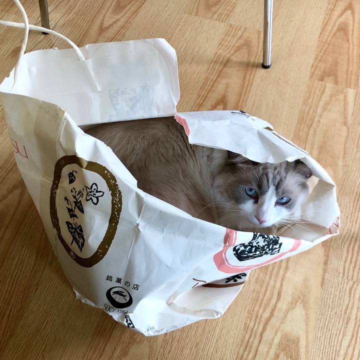 7417ead6 5c74 4822 9b44 a5346ab3f320 1602397494072