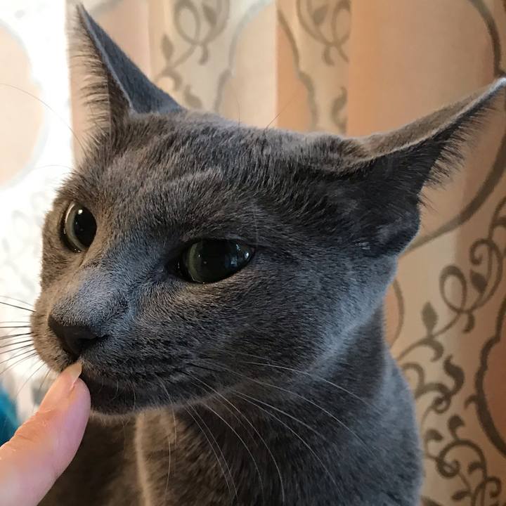 74180575 49e4 408b 8a3f 93ec44902a2f 1565746307339