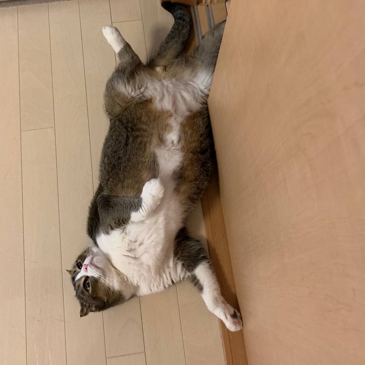 74180784 6a68 4565 b024 837479d29672 1558998690570