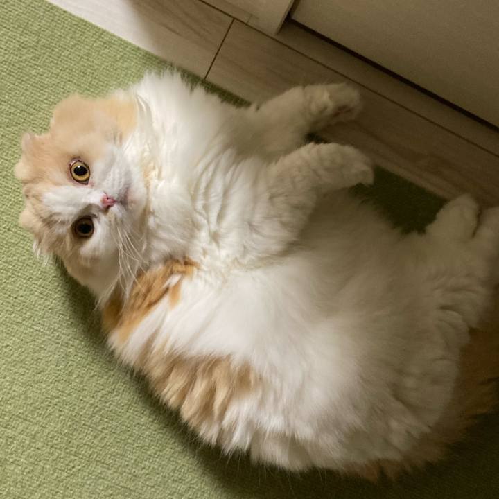 741875f4 9d60 4dc6 9e0f 91eeb7b8a2b3 1658926730988