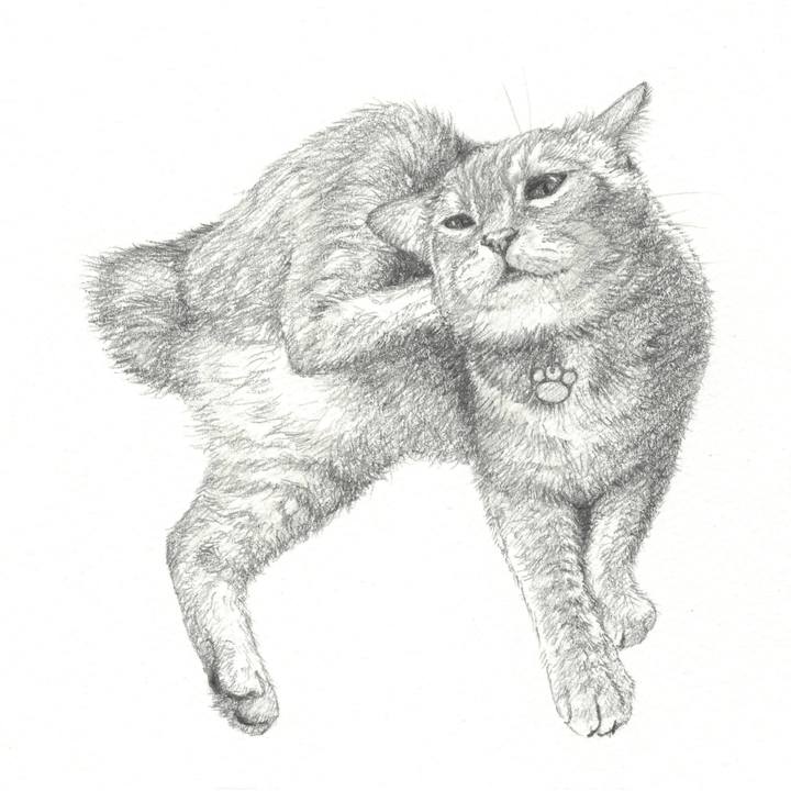 7418d55b 5b4e 40ad 9eff fbef7bb29cb4 1558617865322